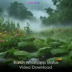 Barish Whatsapp Status Video Download