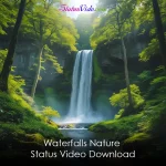 Waterfalls Nature Status Video Download